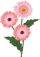 three isolated pink flowers illustration