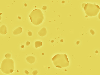 Cheese background