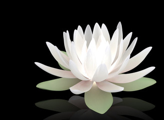 3d luminous lotus