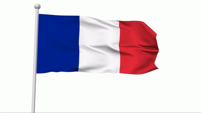 Fahne Frankreich NTSC