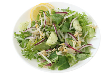salad with bean sprouts