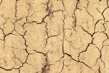 Cracked earth