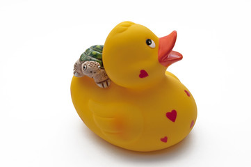 Gummiente hat kleine Schildkröte auf dem Rücken