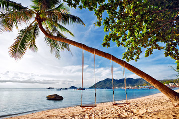 Swings on the tropical beach.
