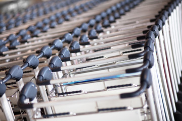 Lined up trolleys at airport