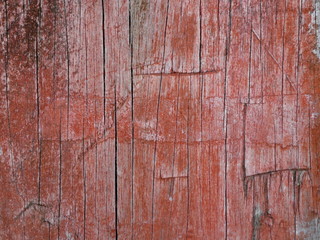 Fototapeta premium Old wood texture