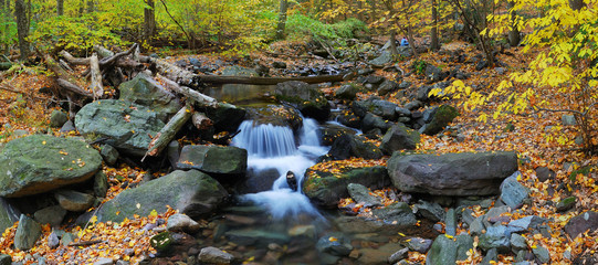 Naklejka na ściany i meble Autumn creek panorama and foliage