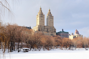 Fototapeta na wymiar New York City Manhattan Central Park in winter