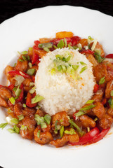 Pork meat and japanese rice