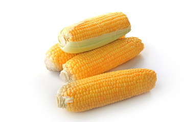 The corn