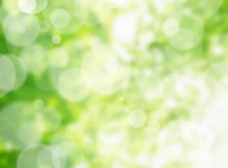 Obraz premium イルミネーション