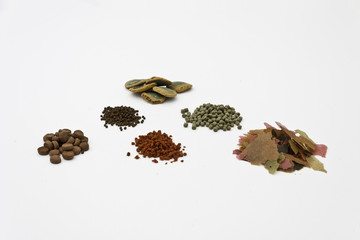 fish food