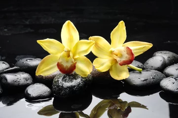 Foto op Plexiglas Two yellow orchid and black stones with reflection © Mee Ting
