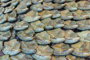 Dried snake-head fish