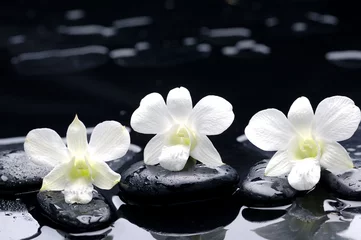 Gordijnen Set witte orchideeën op zwarte steen met reflectie © Mee Ting