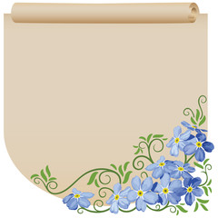 Old scroll. Flower. Forget-me-not