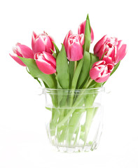 pink tulips