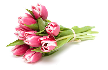 bunch of pink tied tulips - 31675695