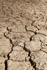 cracked rough ground for background