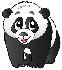 Obraz premium Cute small panda