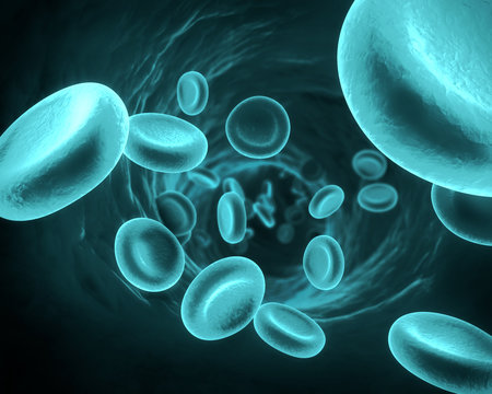 Blood Cells in Blue