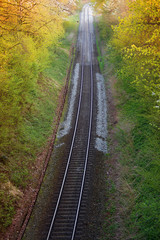 Fototapeta na wymiar Railroad przez las