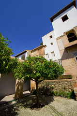 Fototapeta na wymiar Alhambra - Granada - Analusien - Spanien
