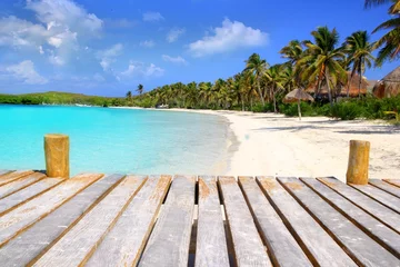 Foto op Plexiglas Contoy Island palmbomenl Caraïbisch strand Mexico © lunamarina