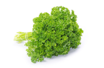 Obraz premium parsley
