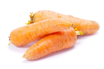 carrots