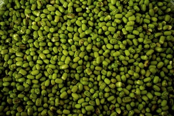 mung bean seed