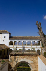 Obraz premium Patio de la Sultana - Generalife - Granada - Spanien