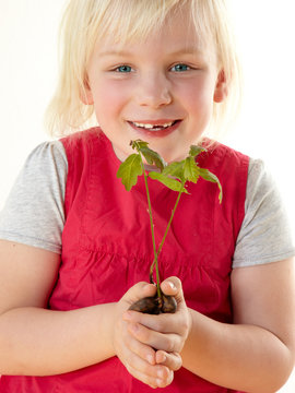 Cute little girl holding small plant