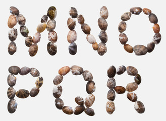 ABC[allittleneck_clam]_03