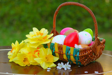 Ostereier,Narzisse