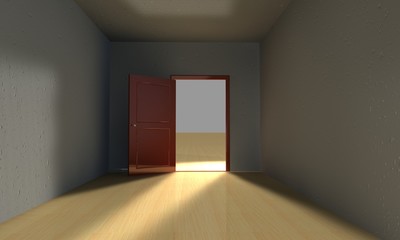 Fototapeta premium door