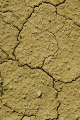 Sol argilo-calcaire d'un vignoble de Saint Emilion, septembre