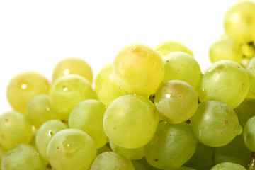 isolated grape