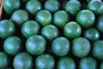 Avocados at Farmer's Market
