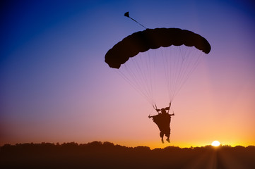 Skydiver silhouette under parachute in wingsuit against sunset - 31695259