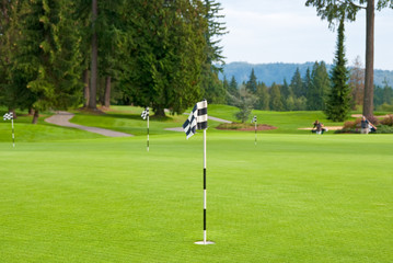 Fototapeta premium Putting area over a blurred green.