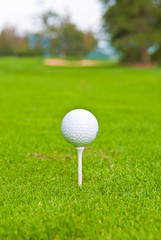 Golf ball on tee over a blurred green.