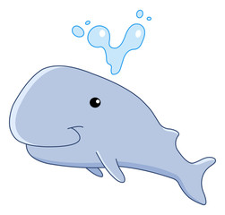 Baby whale