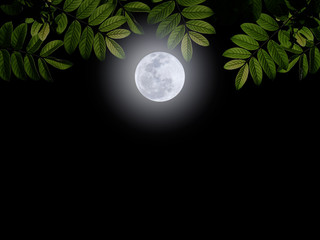 Full moon