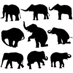 Vector illustration of Elephant silhouettes on white background.