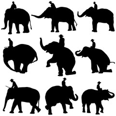 Vector illustration of Elephant silhouettes on white background.