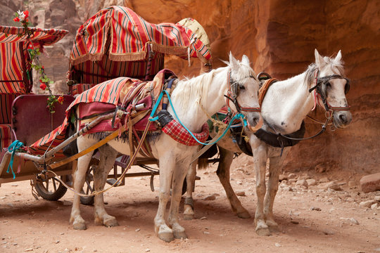 Pferdekutsche in Petra