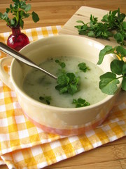 Brunnenkressesuppe