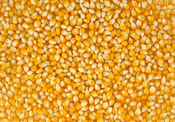 Corn texture