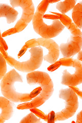 shrimps on the white